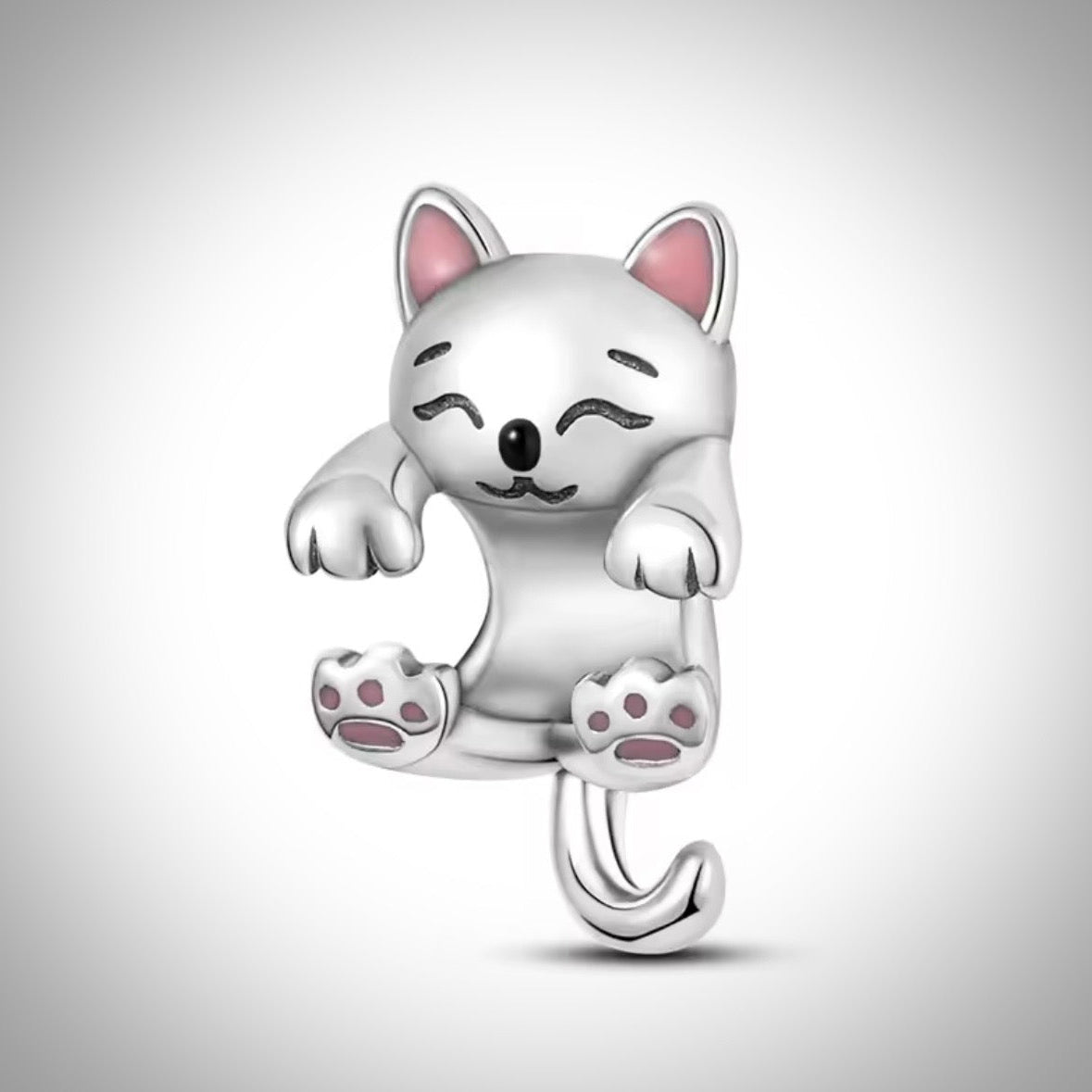 Charm animal petit chat